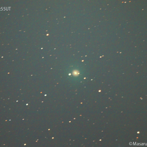 ポン-ブルックス彗星 ( 12P )：2023/11/18