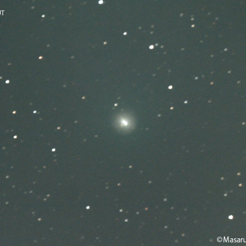 ポン-ブルックス彗星 ( 12P )：2023/11/20