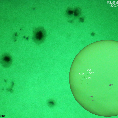 活動領域 3490、3491，3492：2023/11/23