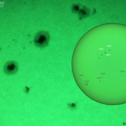 活動領域 3490、3491，3492：2023/11/25