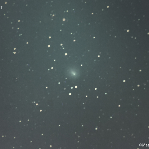 ポン-ブルックス彗星 ( 12P )：2023/11/23