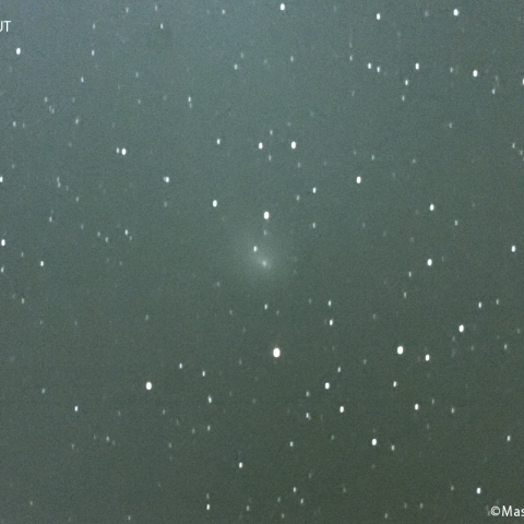 ポン-ブルックス彗星 ( 12P )：2023/11/25