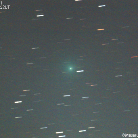 紫金山第１彗星（62P)：2023/11/24