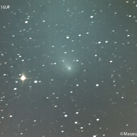 ポン-ブルックス彗星 ( 12P )：2023/11/29