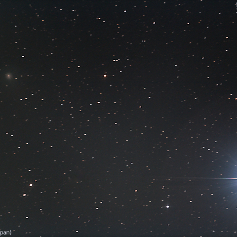 ベガに接近・ポン-ブルックス彗星：2023/12/04