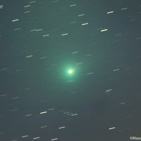 紫金山第１彗星（62P)：2023/11/18