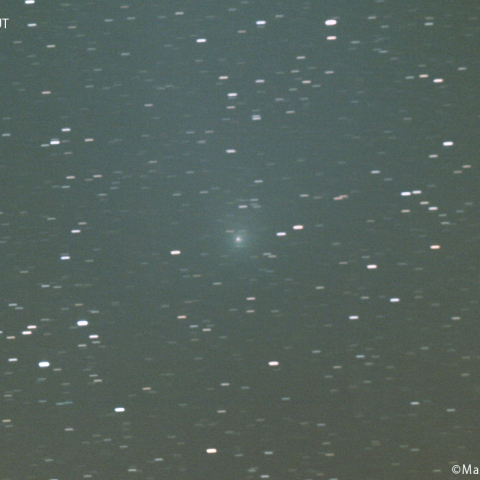 ポン-ブルックス彗星 ( 12P )：2023/12/22