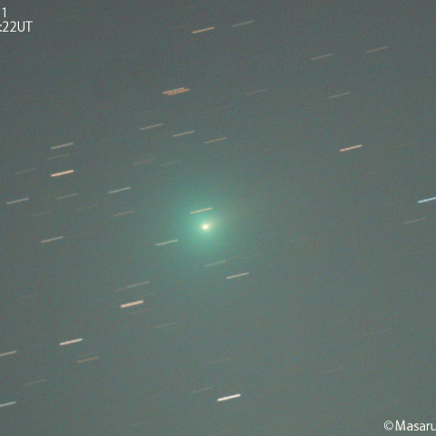 紫金山第１彗星（62P)：2023/12/23