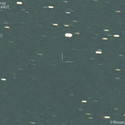 グリグ-シェレルップ彗星 ( 26P )：2024/01/06