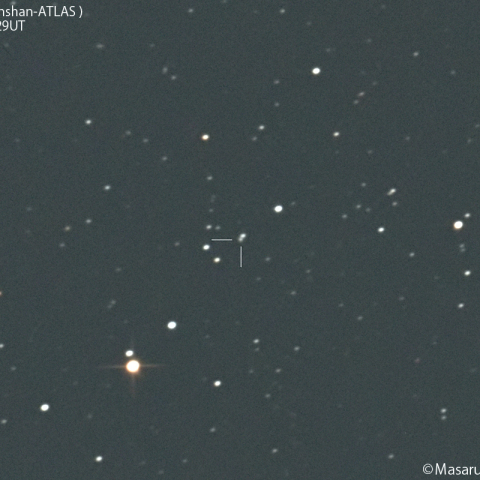 紫金山-アトラス彗星( C/2023 A3 )：2024/01/06
