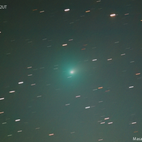 紫金山第１彗星（62P)：2024/01/12