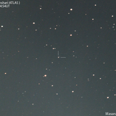 紫金山-アトラス彗星( C/2023 A3 )：2024/01/13
