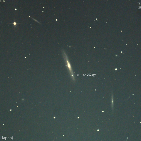 超新星 SN2024gy：2024/01/16