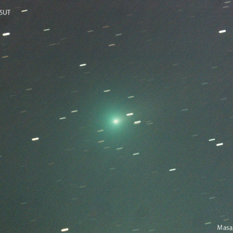 紫金山第１彗星（62P)：2024/01/17