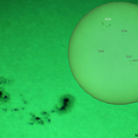 活動領域 3559：2024/01/22