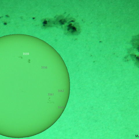 活動領域 3559：2024/01/24