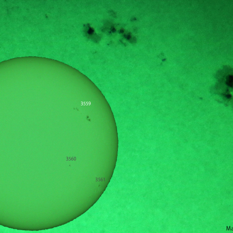 活動領域 3559：2024/01/26