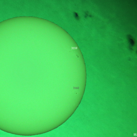 活動領域 3559：2024/01/28