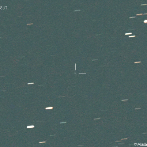 ニート彗星( 207P )：2024/01/14