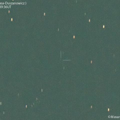 カマラーサ-ドゥサノヴィッツ彗星( C/2023V4 )：2024/01/31