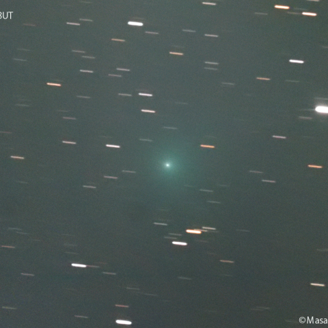 串田彗星 (144P)：2024/01/31