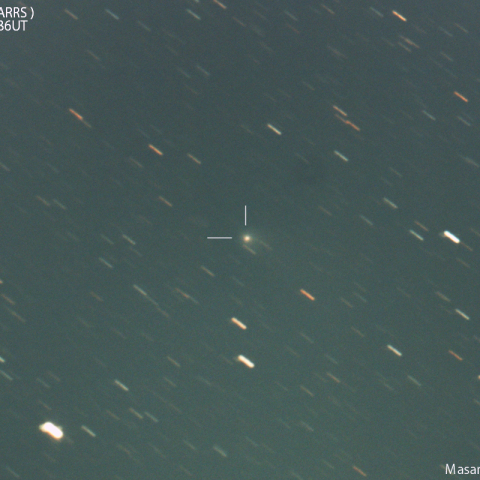 パンスターズ彗星 ( C/2021S3 )：2024/02/03