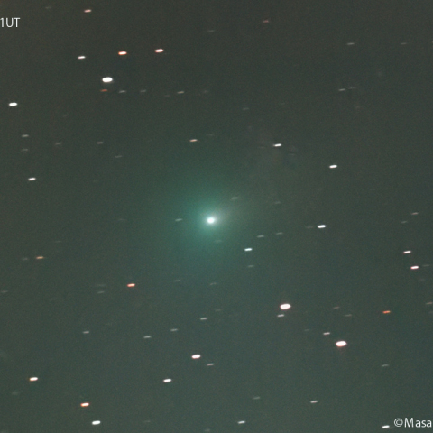 紫金山第１彗星（62P)：2024/02/3