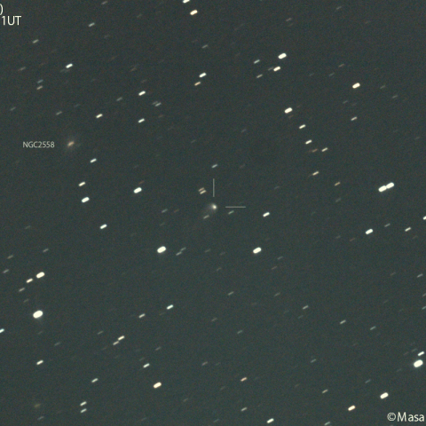 アトラス彗星 ( C/2022 E2 )：2024/02/02