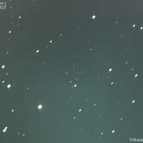 レモン彗星( C/2023H5 )：2024/02/03