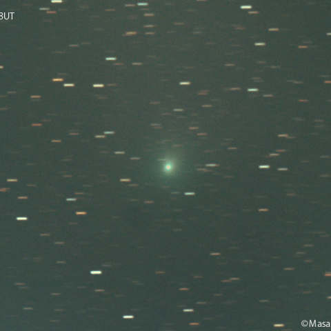 ポン-ブルックス彗星 (12P) ：2024/02/02