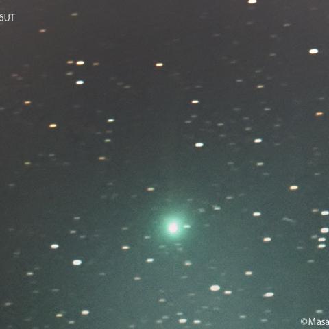 早朝のポン-ブルックス彗星 (12P) ：2024/02/11