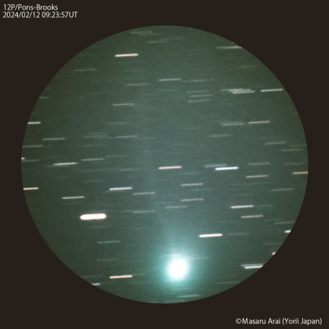 夕刻のポン-ブルックス彗星 (12P) ：2024/02/12
