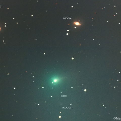 紫金山第１彗星（62P)：2024/02/11