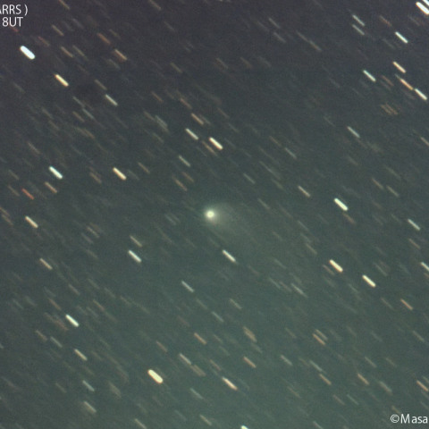 パンスターズ彗星 ( C/2021S3 )：2024/02/11