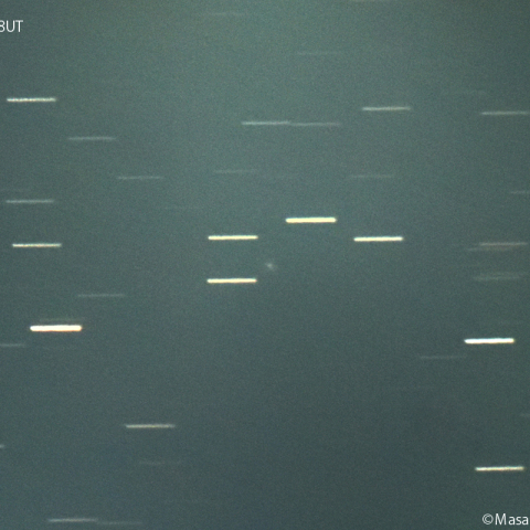 ニート彗星( 207P )：2024/02/12