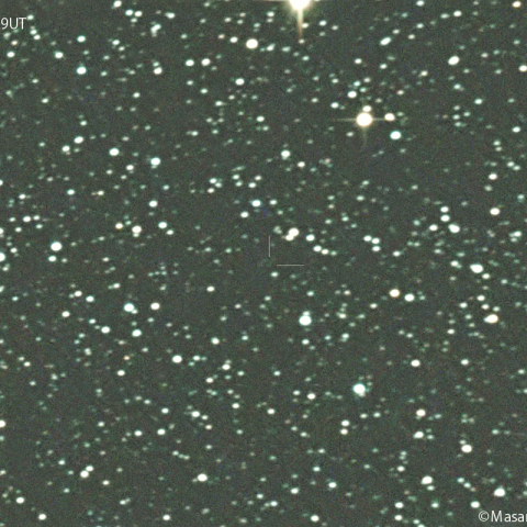 フルス彗星( C/2023T3 ):2024/02/13