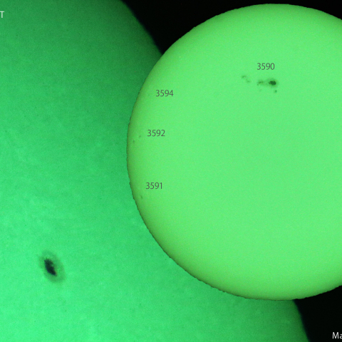 活動領域 3586：2024/02/24