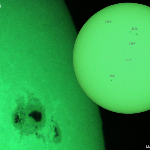 活動領域 3590：2024/02/29