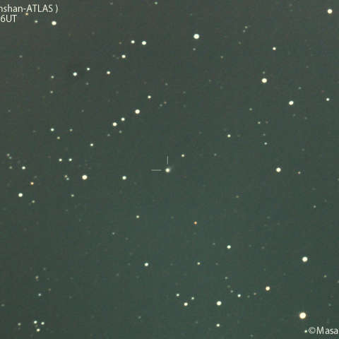 紫金山-アトラス彗星( C/2023 A3 )：2024/02/15