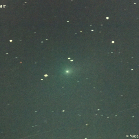 紫金山第１彗星（62P)：2024/03/04