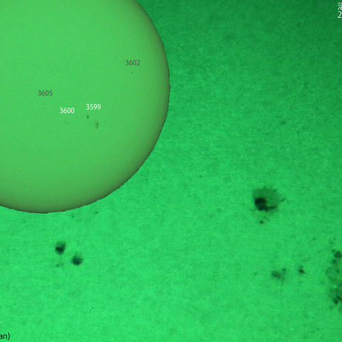 活動領域 3599,3600：2024/03/10