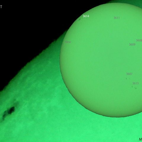 新たな活動領域 3614：2024/03/18