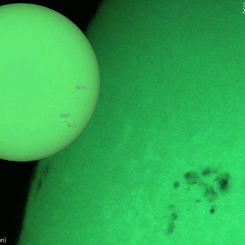 活動領域 3615：2024/03/20