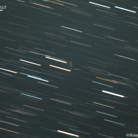 ニート彗星( 207P )：2024/03/13