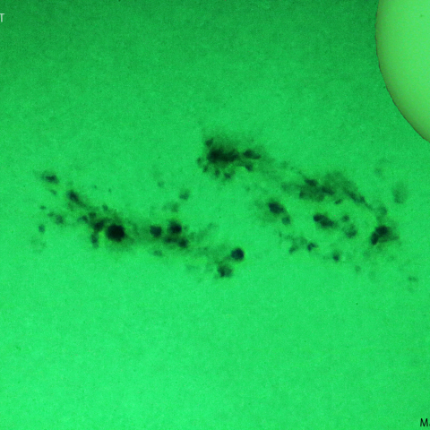 活動領域 3615：2024/03/23