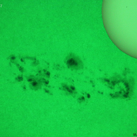 活動領域 3615：2024/03/24