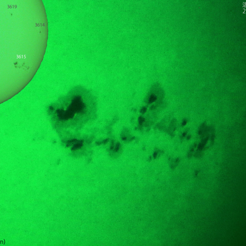 活動領域 3615：2024/03/28