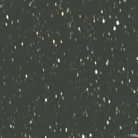 エレーニン彗星( 479P )：2024/03/14