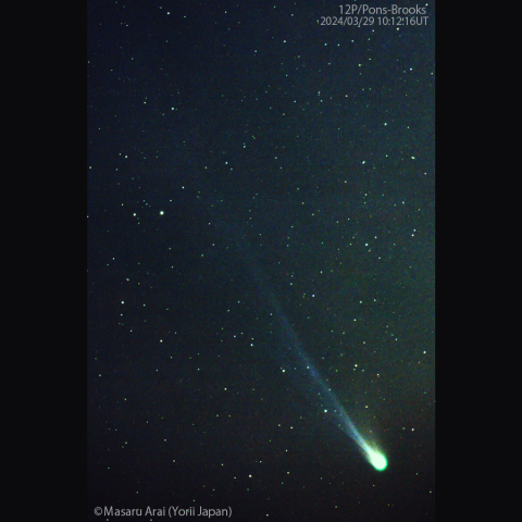 薄明中のポン-ブルックス彗星 (12P) ：2024/03/29