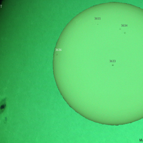 活動領域 3636：2024/04/12